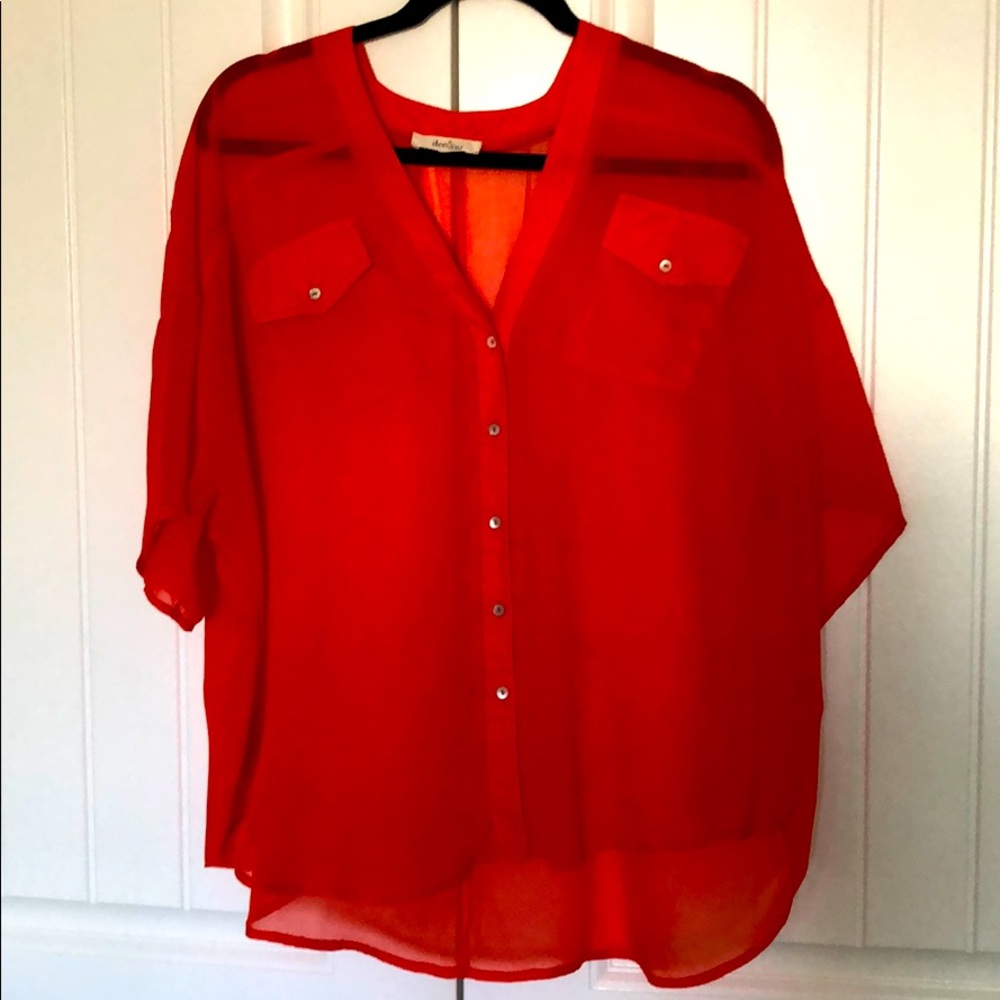 Dee & Ray Oversized Sheer Blouse